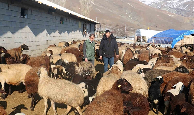 Erzincan'da çiftçilere devlet desteği
