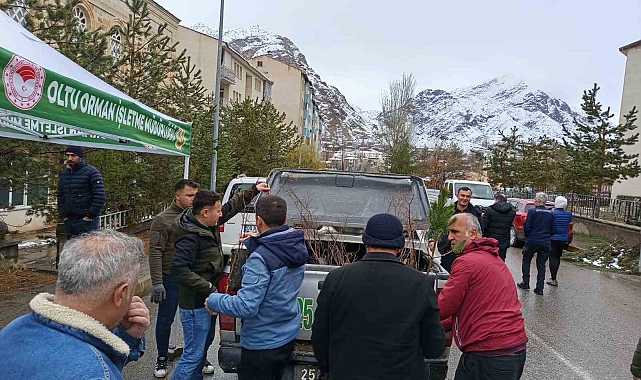 Erzurum Oltu'da ücretsiz fidan dağıtımı yapıldı