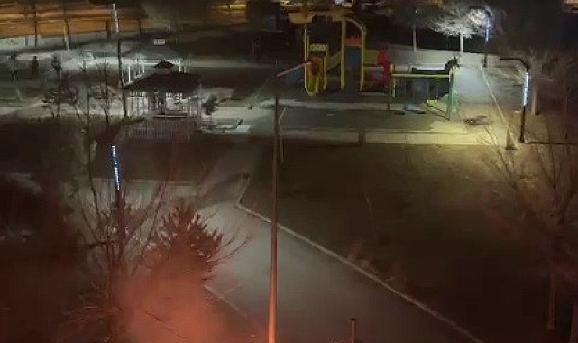 Erzurum'da park halindeki otomobil alev alev yandı