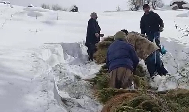 Hakkari'nin Derecik ilçesinde besicilerin zorlu kış mesaisi