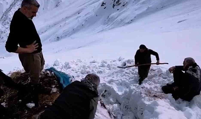 Hakkari'de çiftçilerin zorlu kış mesaisi: 3 bin rakımdan kızak ve branda üzerinde otları indirdiler