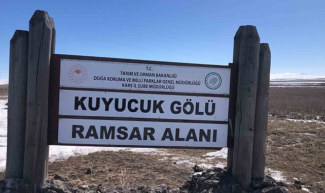 Kuyucuk Kuş Gölü bataklığa döndü