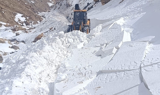 Meteorolojiden 7 il için çığ uyarısı