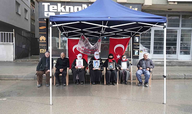 Muş'ta evlat nöbeti devam ediyor