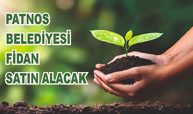Patnos Belediyesi Fidan Satın Alacak