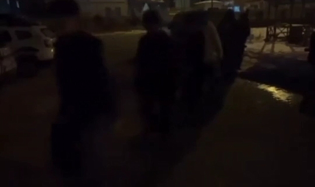 Polis Erciş'te 10 düzensiz göçmen yakaladı