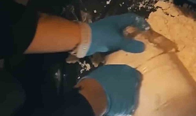 Polis Muş'ta uyuşturucu ve kaçakçılık operasyonunda 2 kişi tutukladı
