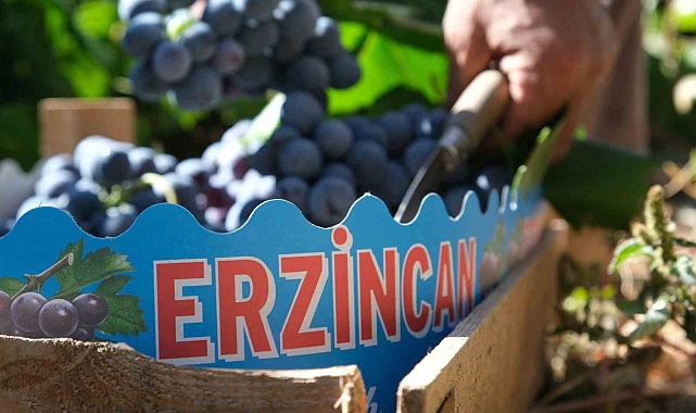 Tarımsal girdi fiyat endeksi yıllık yüzde 30,49 arttı