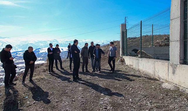 Vali Çelik, sokak hayvanları için kurulacak doğal yaşam alanlarını inceledi