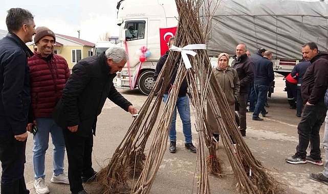 Van valiliği 640 bin adet fidan dağıttı