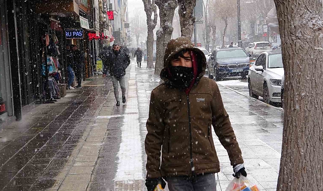 Van'da kar yağışı hayatı olumsuz etkiledi