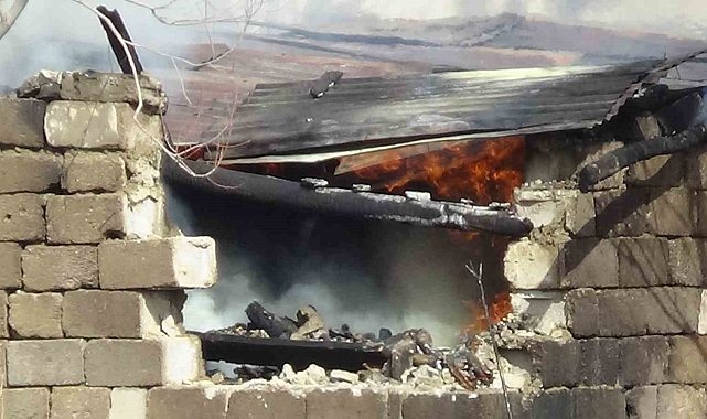 Van'da odunluk yangını