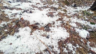 Bitlis’te dolu  kenti beyaza bürüdü