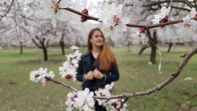 Çiçek açan ağaçların görselliği mest etti