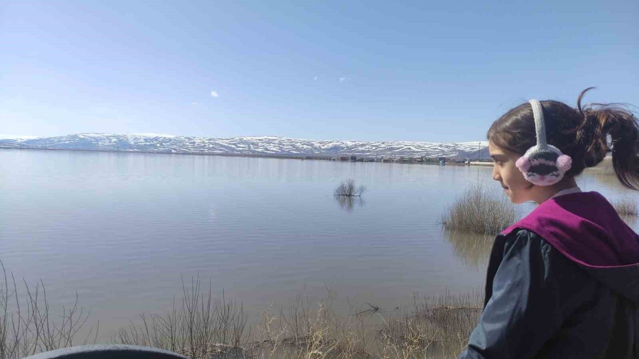 Kura Nehri taştı: Ardahan Ovası göle döndü