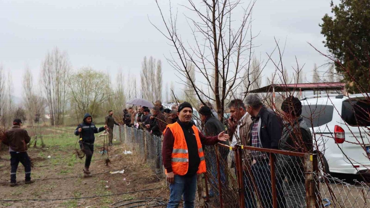 Erzincan’da meyve fidanı satışına yoğun ilgi