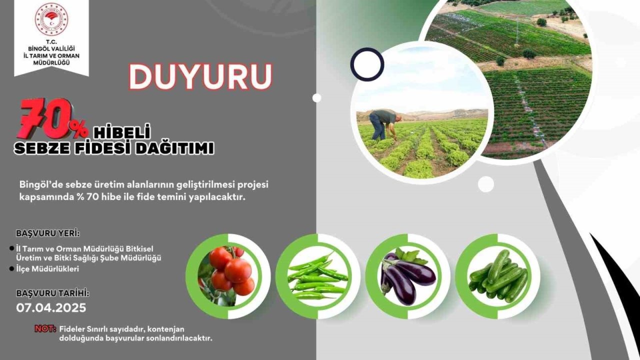 Bingöl’de çiftçilere yüzde 70 hibe destekli sebze fidesi dağıtılacak