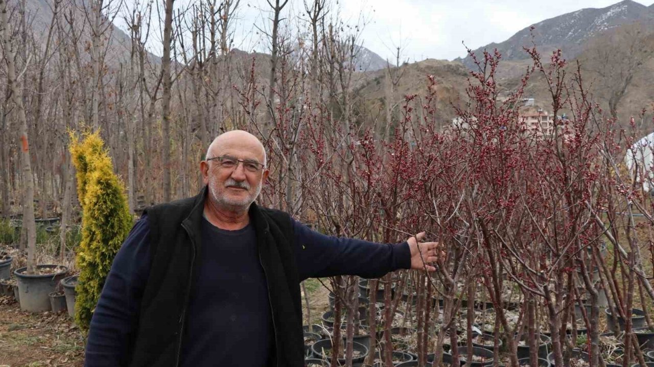 Ömrünü fidan üretimine adadı