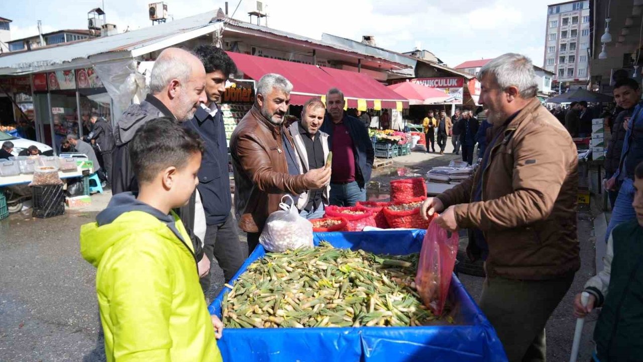 Çiriş otu Muş'ta  tezgahlara indi