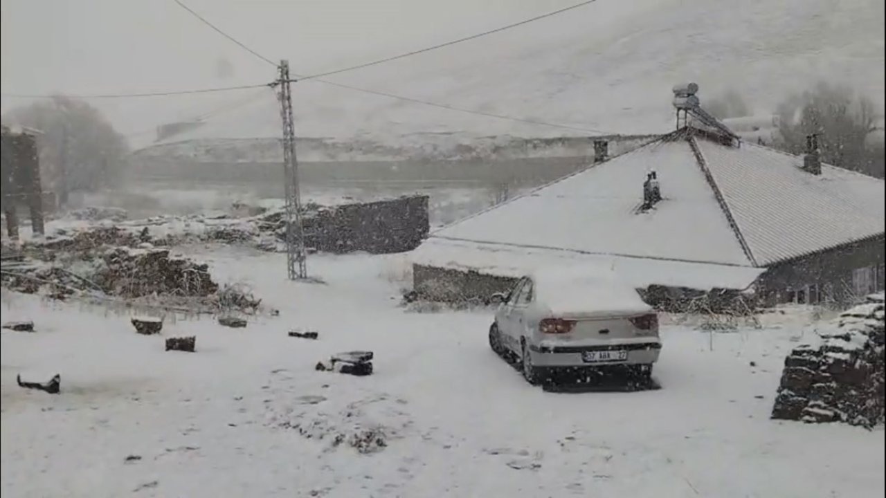 Bitlis'in Ahlat ilçesinde nisan ayında kar sürprizi