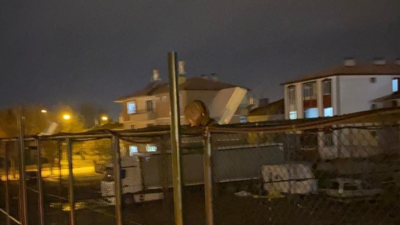 Erzincan'da itfaiye kedi kurtarma operasyonu gerçekleştirdi