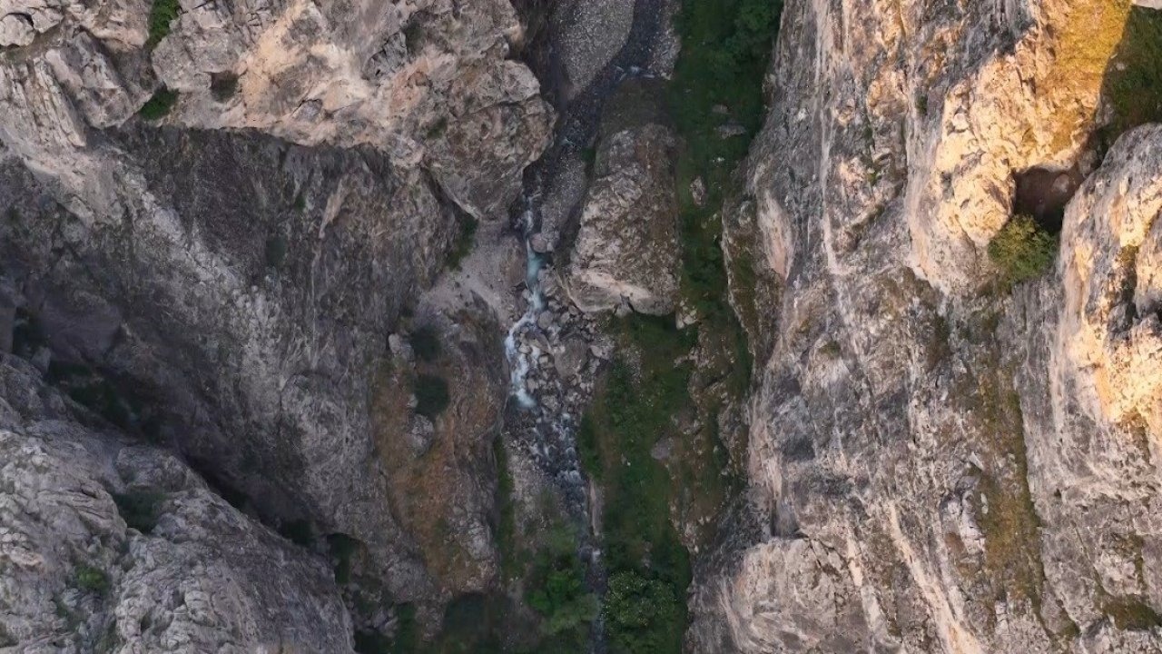 Objektiflere yakalanan yaban keçilerden görsel şölen