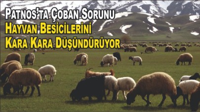 Çoban Yokluğu Patnos Besiciliğini Tehdit Ediyor