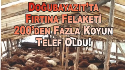 Doğubayazıt’ta Fırtına Felaketi: 200’den Fazla Telef Oldu!