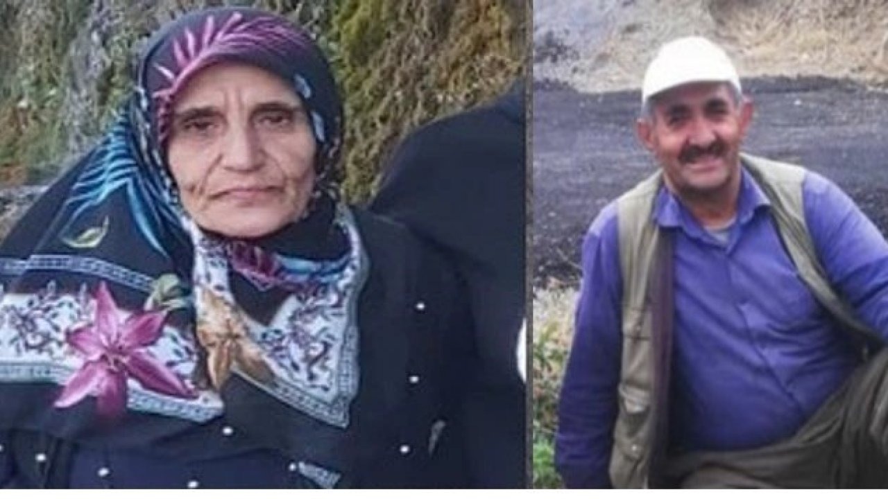 60 yaşındaki kadın kayboldu, arama çalışmaları sürüyor