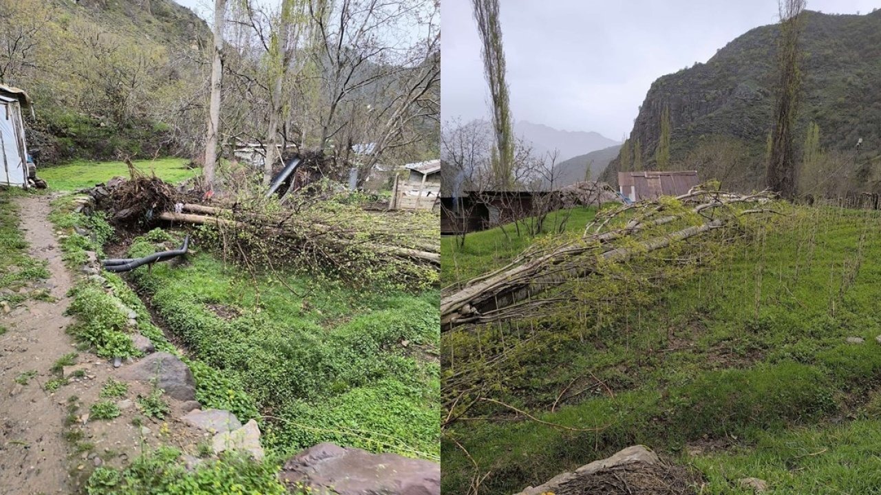 Çukurca’da şiddetli fırtına ağaçları devirdi