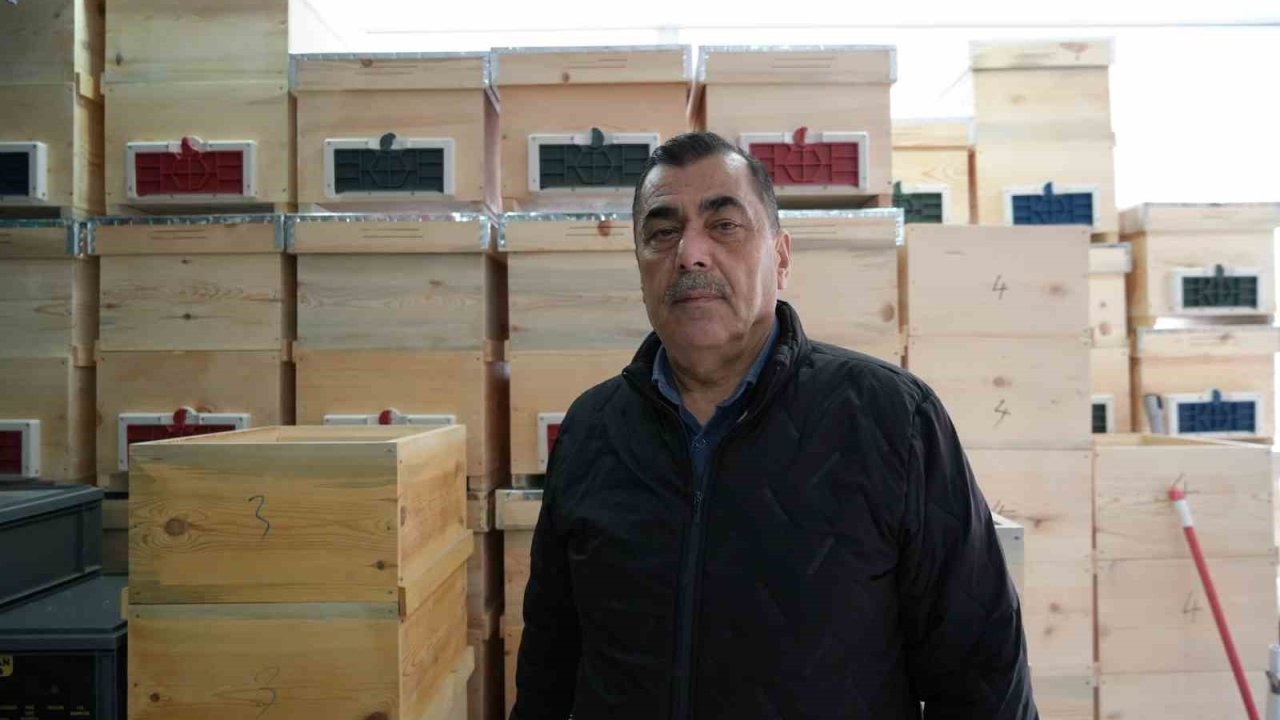 Arı ölümleri korkutuyor