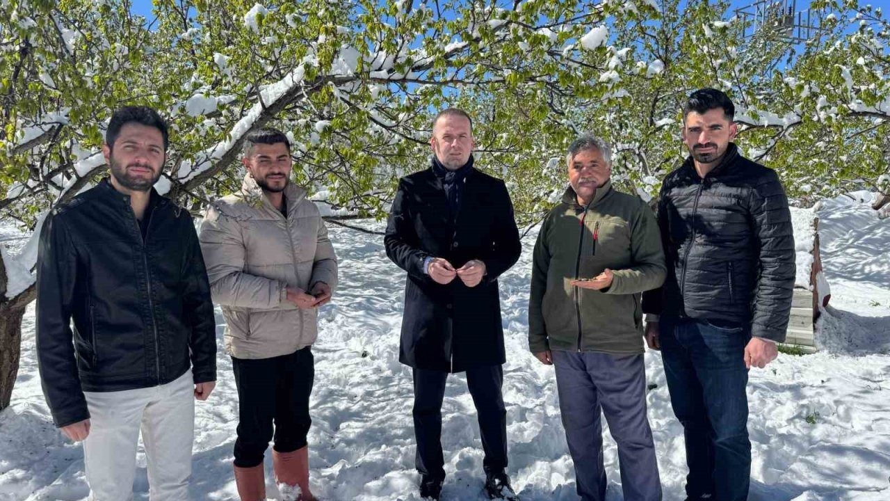 Malatya’da kayısı da don felaketi
