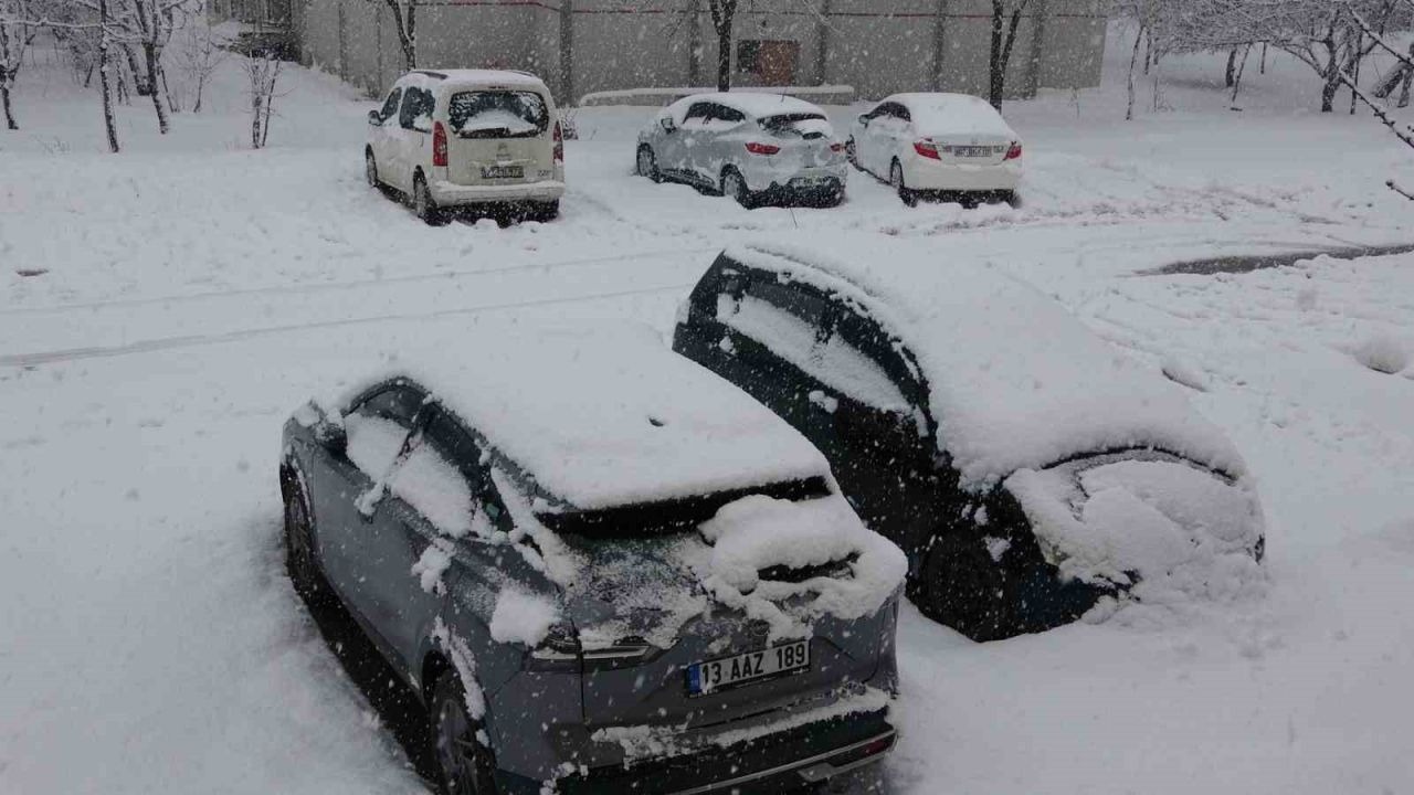 Bitlis'te Nisan ayında lapa lapa kar yağışı