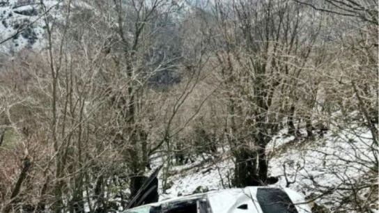 Muş-Kulp yolunda otomobil uçuruma yuvarlandı, 4 kişiyi ağaçlar kurtardı