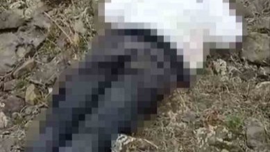 Van'ın Özalp ilçesi kırsalında erkek cesedi bulundu
