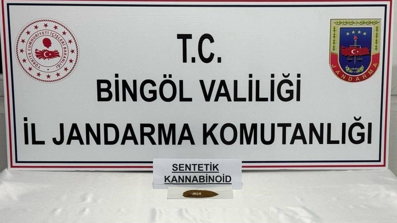 Bingöl’de bonzai ele geçirildi: 4 gözaltı
