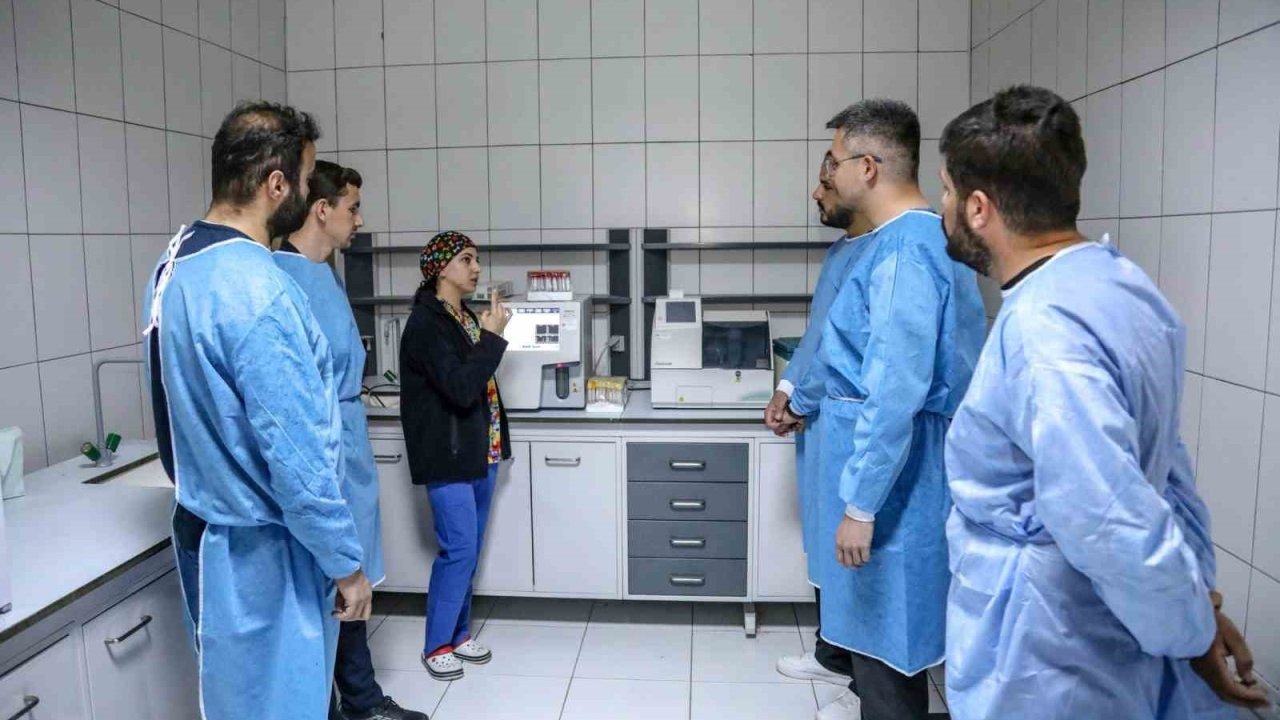 Öğrencilere Hayvanları Koruma Eğitimi