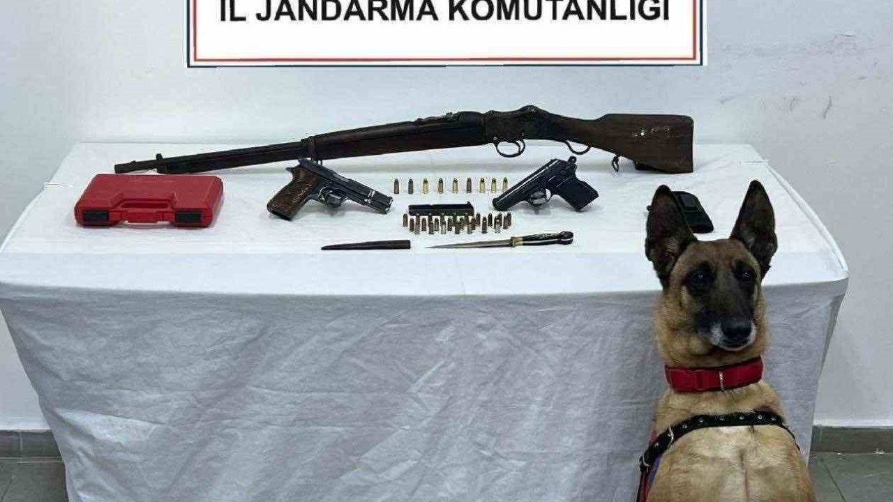 Bomba arama köpeğinden kaçış yok