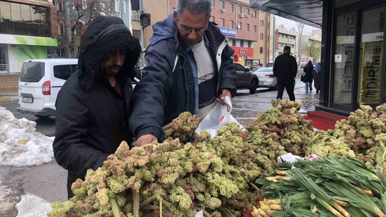 Yayla Muzu 100 ila 300 TL’den satışa sunuluyor
