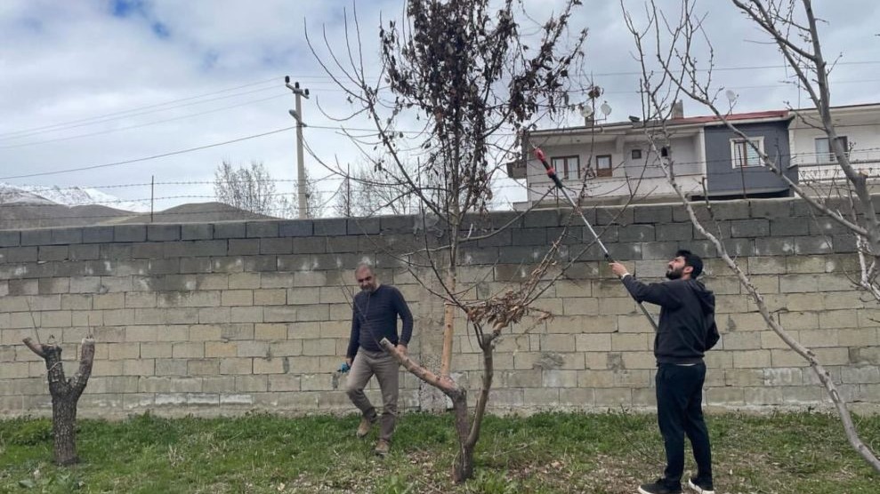 Hakkari'de ağaçlar budandı, uygulamalı eğitim verildi