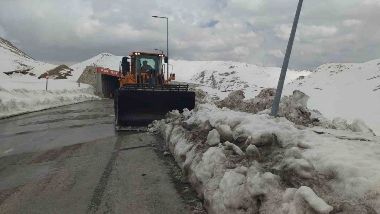Kar kaplanları Nisan ayında da görevinin başında