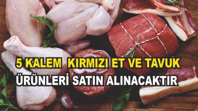 DİYADİN MESLEKİ VE TEKNİK ANADOLU LİSESİ  5 KALEM  KIRMIZI ET VE TAVUK ÜRÜNÜ SATIN ALACAKTIR