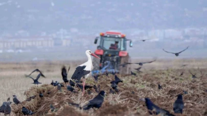 Erzurum’da traktör sayısı 22 bini geçti
