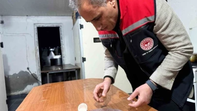 Kars’ta kaz yetiştiriciliğinde yeni dönem başlıyor