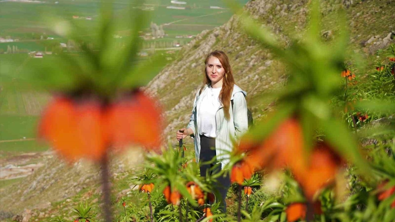 Ters laleler için 3 saat yürüdüler