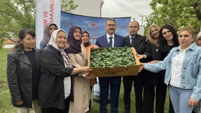 Iğdır’da kadın çiftçilere fide dağıtımı yapıldı