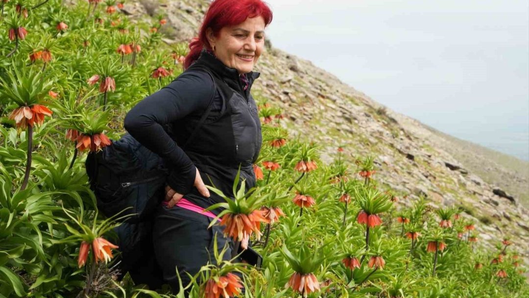 Ters laleleri görmek için 500 kilometre yol geldiler ama dokunamadılar