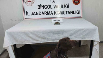 Bingöl’de uyuşturucu madde ve tüfek ele geçirildi