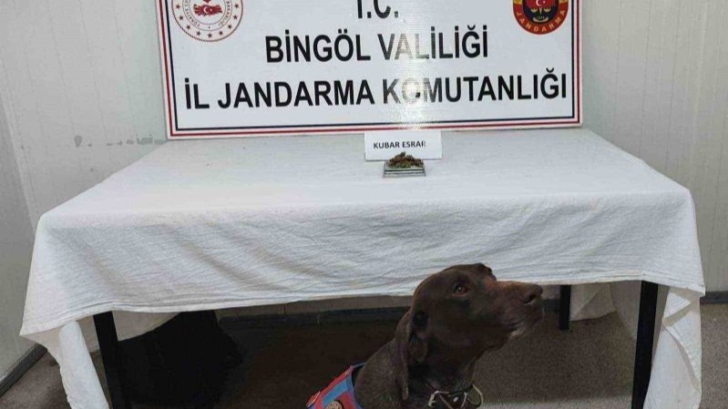 Bingöl’de uyuşturucu madde ve tüfek ele geçirildi