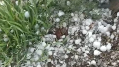 Arapgir’de dolu yağışı etkili oldu
